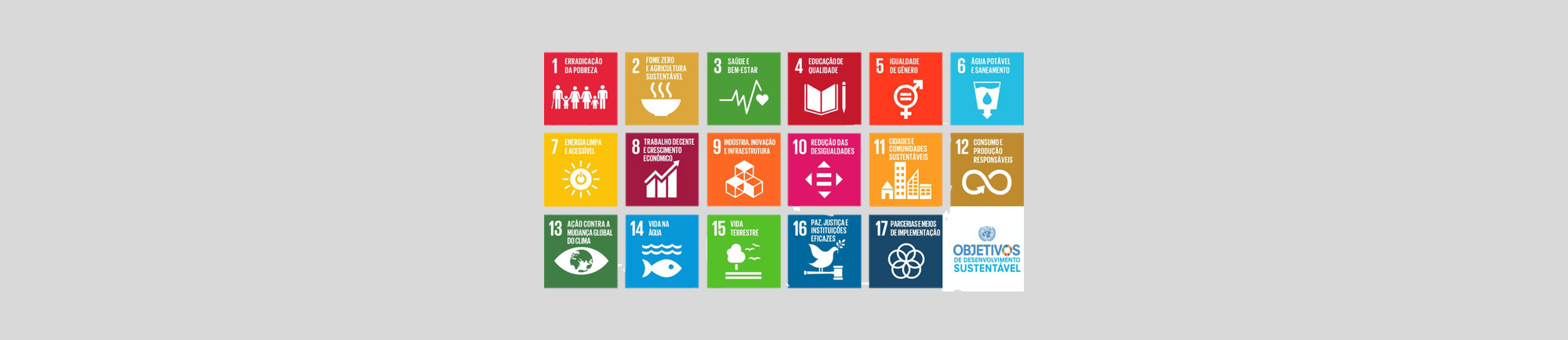 Conheça os 17 ODS da ONU: Os Objetivos de Desenvolvimento Sustentável para a Agenda 2030