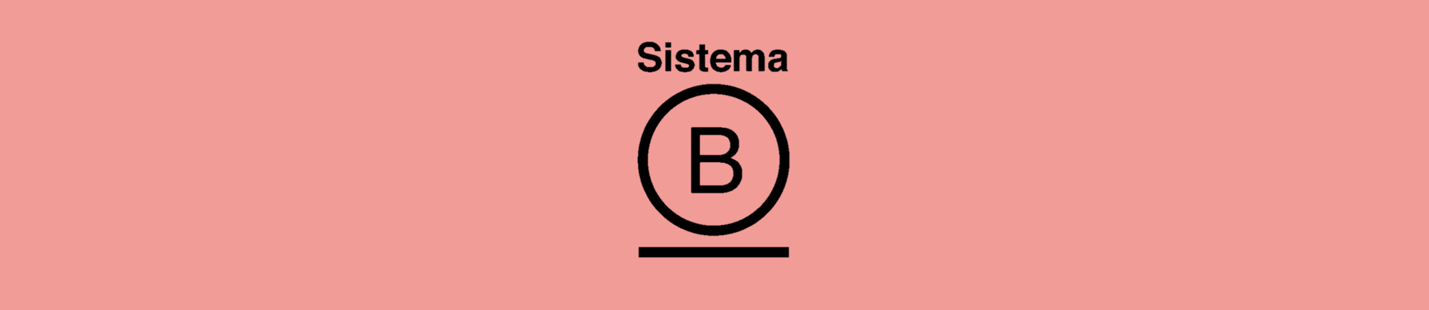 Conheça o Sistema B Brasil