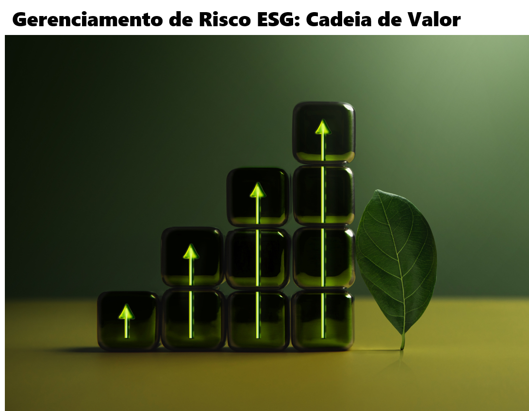 Gerenciamento de Risco ESG: Promovendo a Resiliência Corporativa ...