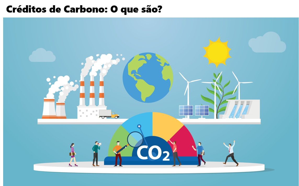 Vamos falar sobre os Créditos de Carbono? - Sustentabilidade Agora