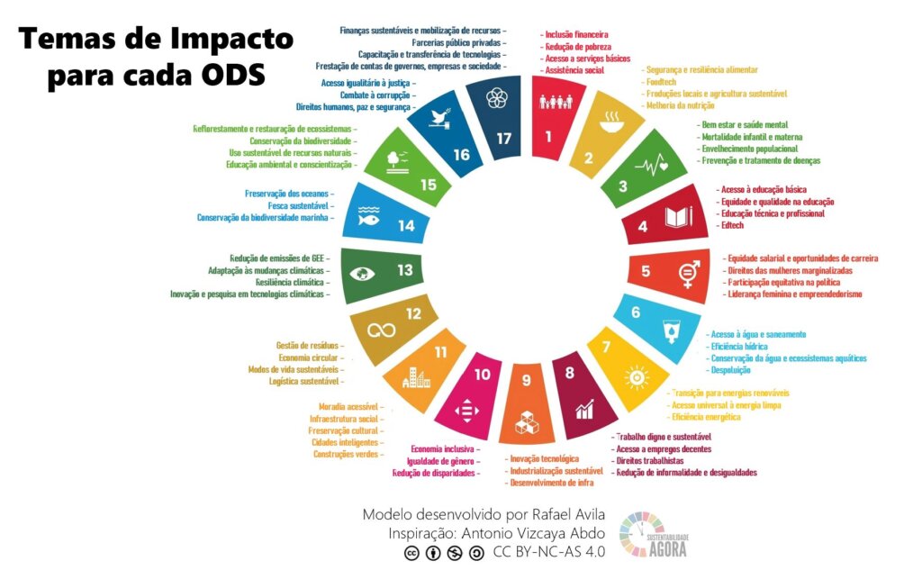 temas de impacto dos ODS