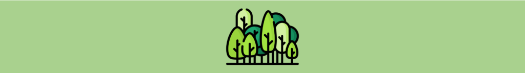 Agrofloresta